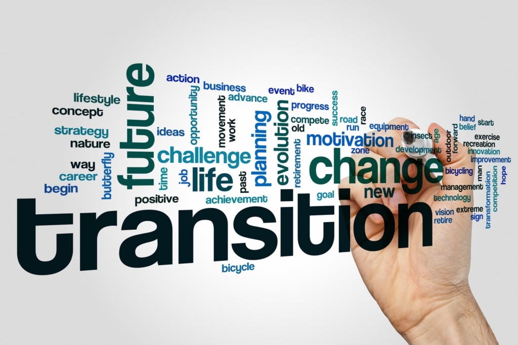 Manager de Transition